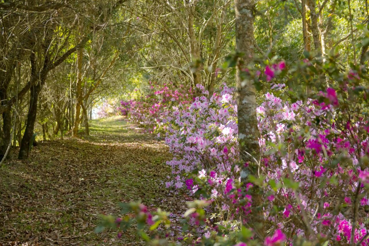 Pousada Passaredo Montanha Ibiúna Exteriér fotografie