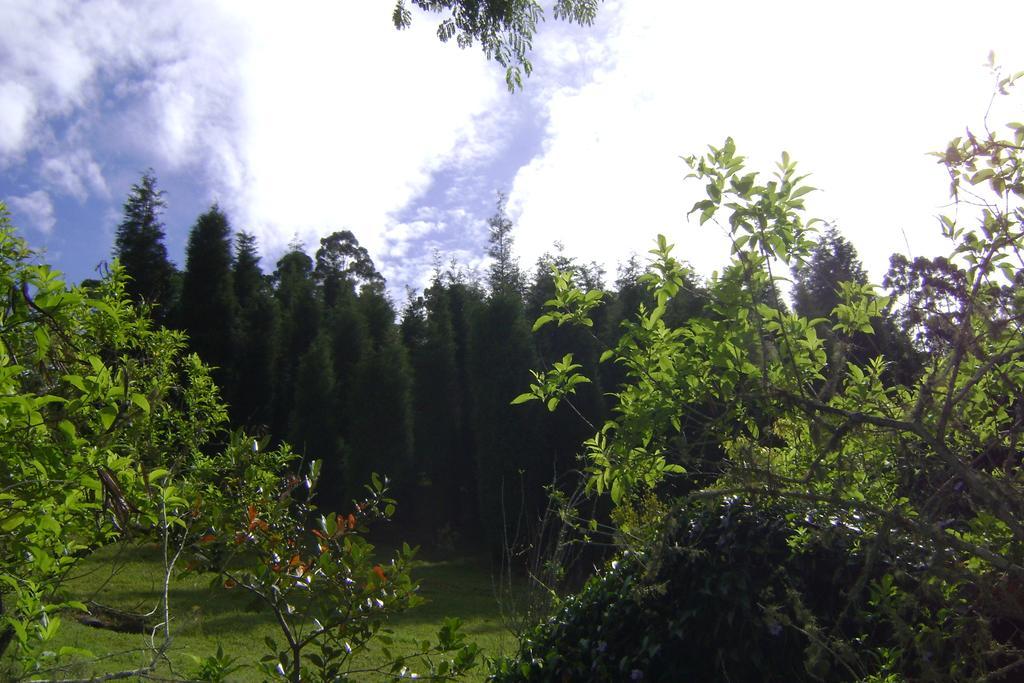 Pousada Passaredo Montanha Ibiúna Exteriér fotografie