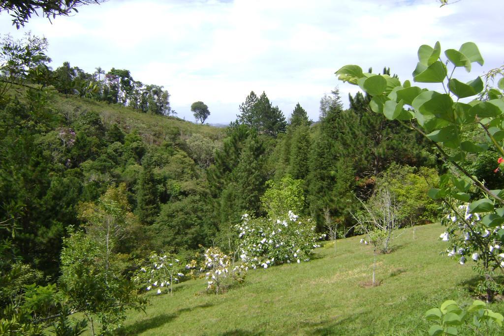 Pousada Passaredo Montanha Ibiúna Exteriér fotografie